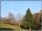 foto Valle delle Mura in Autunno